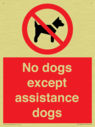 no-dogs-except-assistance-dogs~